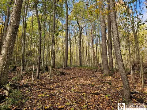0 Sawmill Run Rd, Cold Spring, NY 14783 photo 10