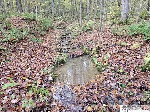 0 Sawmill Run Rd, Cold Spring, NY 14783 photo 14