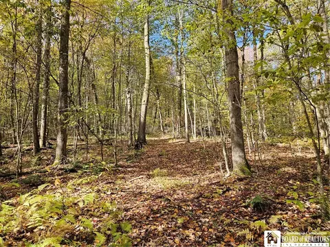 0 Sawmill Run Rd, Cold Spring, NY 14783 photo 19