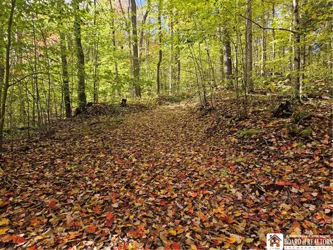 0 Sawmill Run Rd, Cold Spring, NY 14783 photo 5