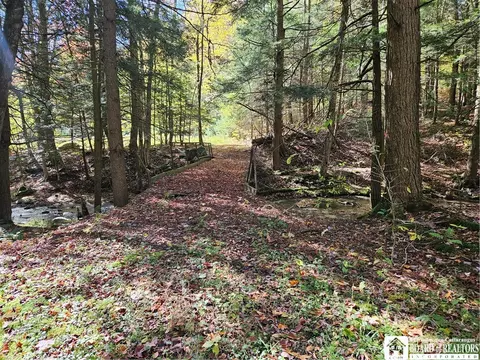 0 Sawmill Run Rd, Cold Spring, NY 14783 photo 35