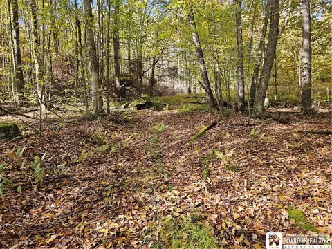 0 Sawmill Run Rd, Cold Spring, NY 14783 photo 6