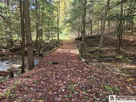 0 Sawmill Run Rd, Cold Spring, NY 14783 photo 2