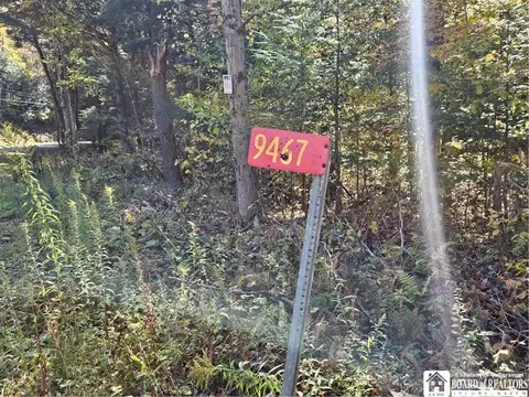 0 Sawmill Run Rd, Cold Spring, NY 14783 photo 36