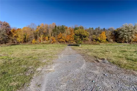 7537 Old Lyons Rd, Lyons, NY 14489 photo 18