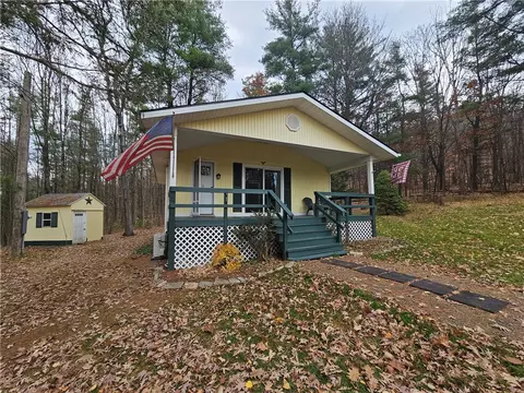 7242 Velie Rd, Savona, NY 14879