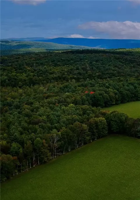 lot5 C Cornell Rd, Blenheim, NY 12167