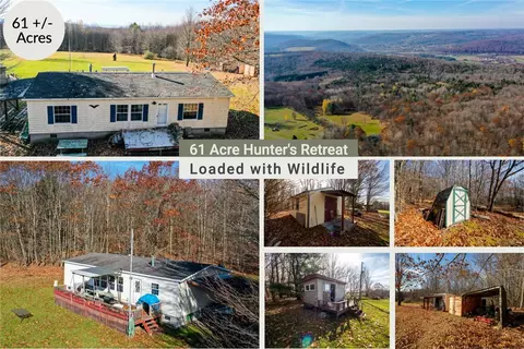 1305 Vandervort Hill Rd, Sidney Center, NY 13839
