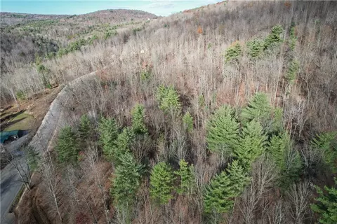 Braybrook Road, Chemung, NY 14825