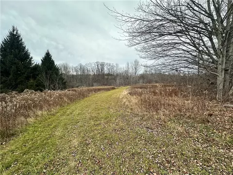 Kostenko Sutton Road, Pitcher, NY 13801 photo 3