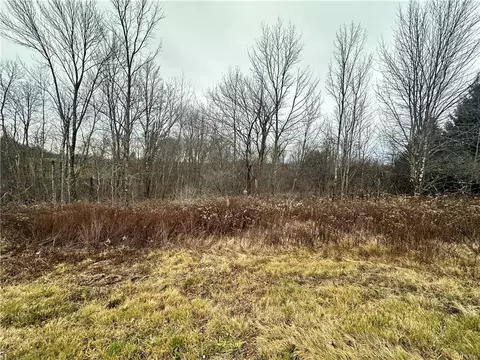 Kostenko Sutton Road, Pitcher, NY 13801 photo 4
