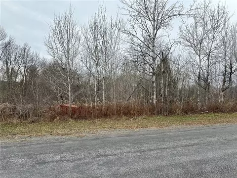Kostenko Sutton Road, Pitcher, NY 13801 photo 2