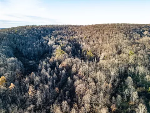 0 Ingraham Rd, Amity, NY 14813