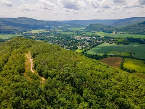 L16 Mt Path, Middleburgh, NY 12122 photo 23
