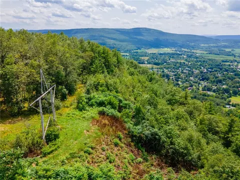 L16 Mt Path, Middleburgh, NY 12122 photo 21