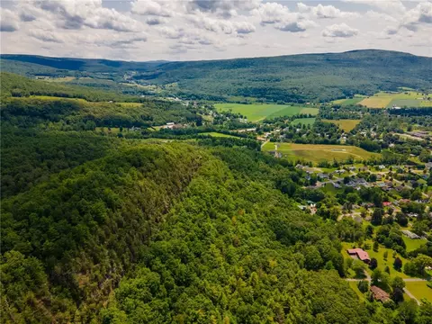 L16 Mt Path, Middleburgh, NY 12122 photo 9