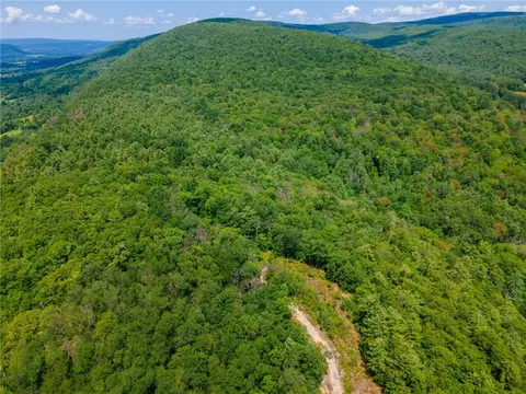 L16 Mt Path, Middleburgh, NY 12122 photo 19