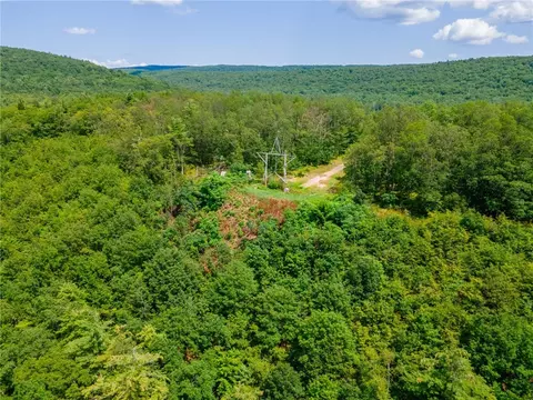 L16 Mt Path, Middleburgh, NY 12122 photo 20