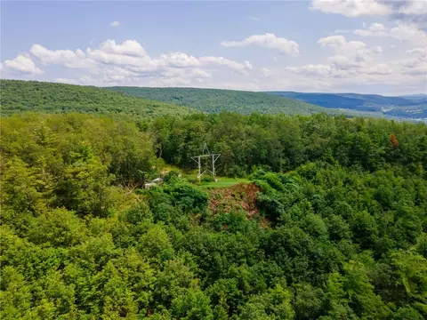 L16 Mt Path, Middleburgh, NY 12122 photo 26