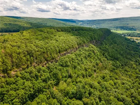 L16 Mt Path, Middleburgh, NY 12122 photo 8