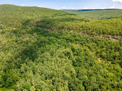 L16 Mt Path, Middleburgh, NY 12122 photo 7
