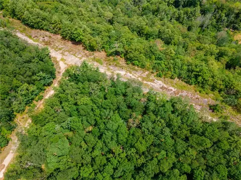 L16 Mt Path, Middleburgh, NY 12122 photo 17