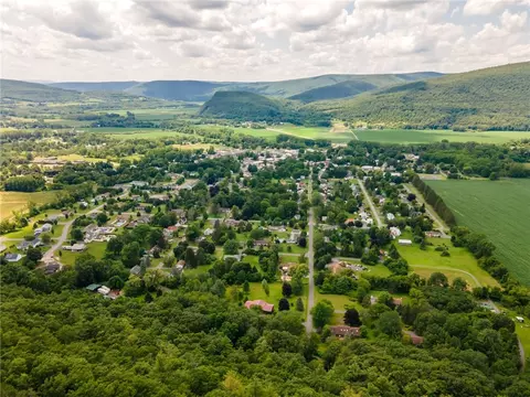 L16 Mt Path, Middleburgh, NY 12122 photo 6