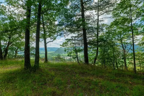 L16 Mt Path, Middleburgh, NY 12122 photo 15