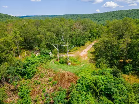 L16 Mt Path, Middleburgh, NY 12122 photo 22