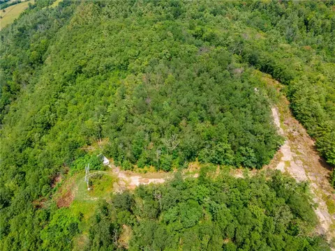 L16 Mt Path, Middleburgh, NY 12122 photo 18
