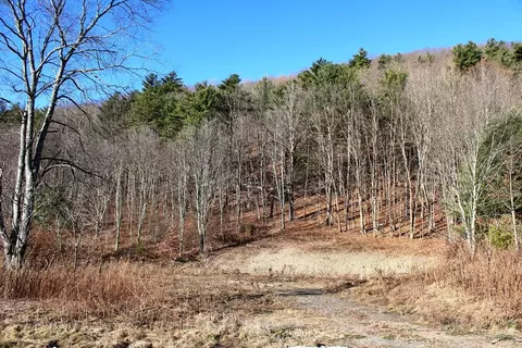 8555 State Highway 7, Maryland, NY 12155