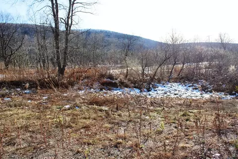 8555 State Highway 7, Maryland, NY 12155 photo 6