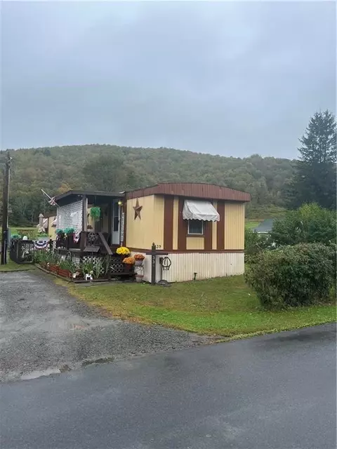 339 Knox Ave, Colchester, NY 13755
