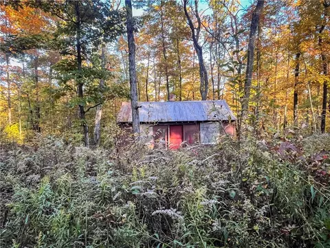 4474 Mark Smith Rd, Hector, NY 14841