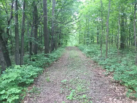 5180 County Road 16 Rd, Canandaigua Town, NY 14424