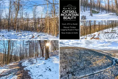 0 Ny Route 28, Bovina, NY 13731