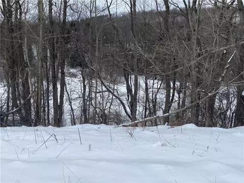 8470 Tabors Corner Rd, Springwater, NY 14572