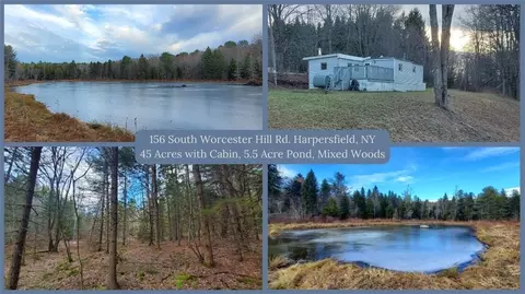 156 S Worcester Hill Rd, Harpersfield, NY 12093