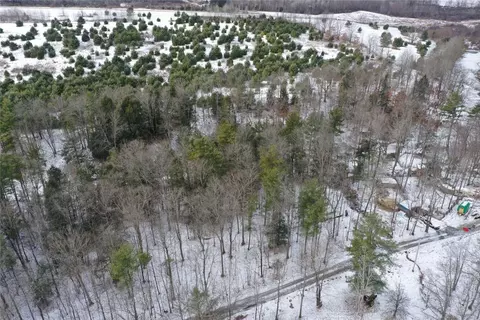 2249 Niger Rd, Orange, NY 14815