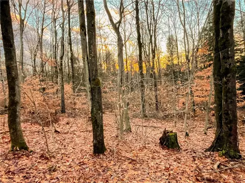 391 Conklin Hill Rd, Barker, NY 13746 photo 45