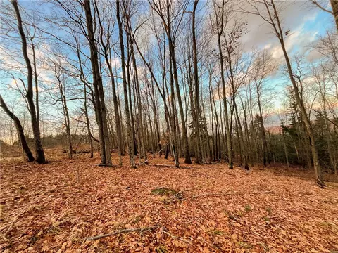 391 Conklin Hill Rd, Barker, NY 13746 photo 37