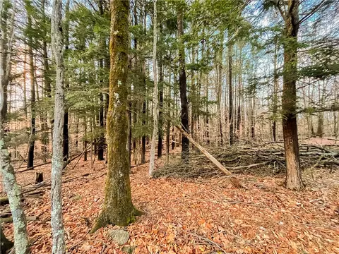 391 Conklin Hill Rd, Barker, NY 13746 photo 41