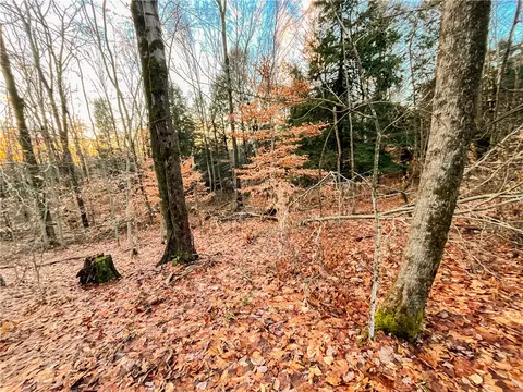 391 Conklin Hill Rd, Barker, NY 13746 photo 44