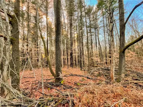 391 Conklin Hill Rd, Barker, NY 13746 photo 39