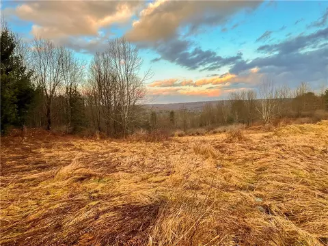 391 Conklin Hill Rd, Barker, NY 13746 photo 14