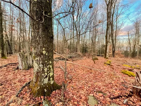 391 Conklin Hill Rd, Barker, NY 13746 photo 40
