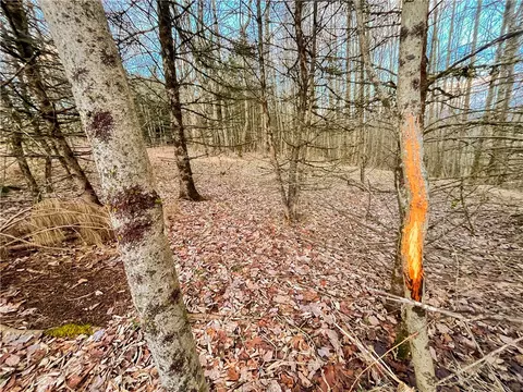 391 Conklin Hill Rd, Barker, NY 13746 photo 18