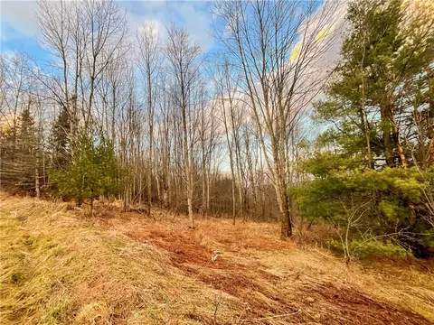 391 Conklin Hill Rd, Barker, NY 13746 photo 15