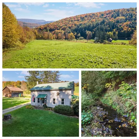 1615 Left Pines Brook Rd, Walton, NY 13856