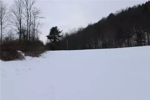 State Highway 166, Middlefield, NY 13326 photo 11